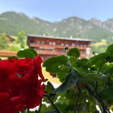 Haus Schmetterling Mit Private Lägenhet Alpbach