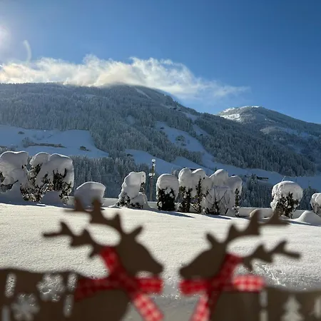 Haus Schmetterling Mit Private Lägenhet Alpbach