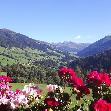 Haus Schmetterling Lägenhet *