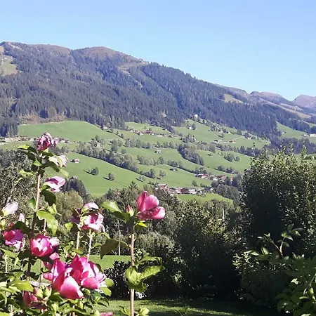 Lägenhet Haus Schmetterling *