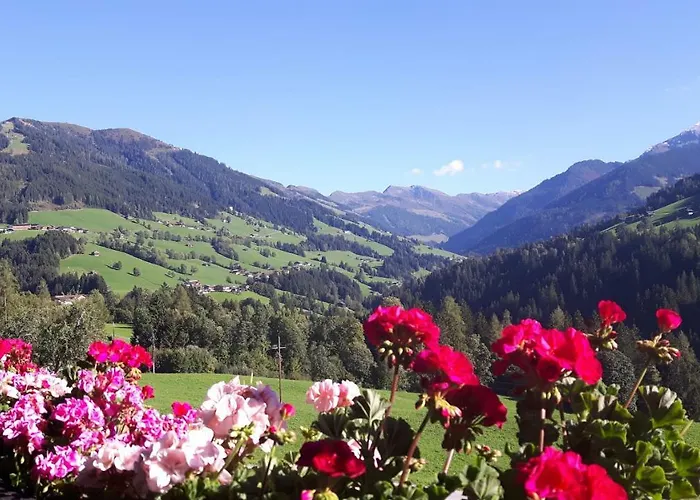 Appartementhaus Schmetterling Appartement *