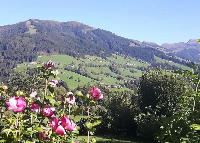 Appartement Appartementhaus Schmetterling *