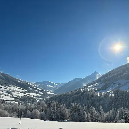Lägenhet Haus Schmetterling Alpbach
