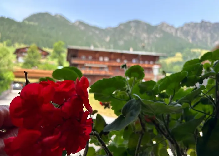 Haus Schmetterling 아파트 알프바취